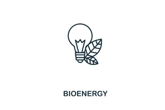 Evaluating Bioenergy: Practical Insights for Sustainable Energy Decisions